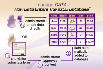 Data Management